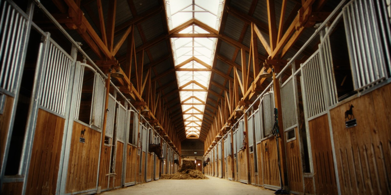 Horse stable accommodation at Gintarinė Pasaga